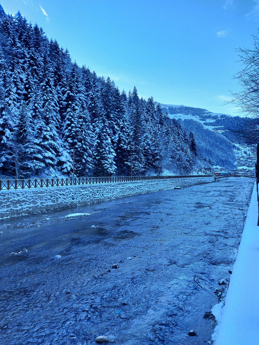 ziya_sahinoz's tweet photo. Markete diye çıkıp Uzungöl'e geldiim. ❄ https://t.co/jtgI2jUwhl