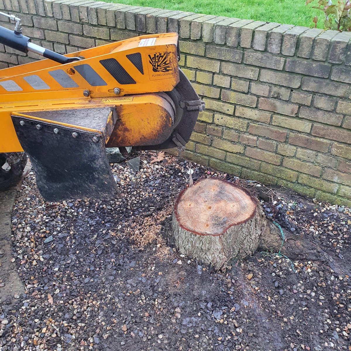 TreeGrinding's tweet photo. Tree stump grinding near Theydon Mount, near Epping, Essex. Removing one willow stump that was lifting the block paving. #treestumpgrinding
#Treestumpremovals #Willow #TheydonMount
#Epping #Essex https://t.co/1EBYED8y2M