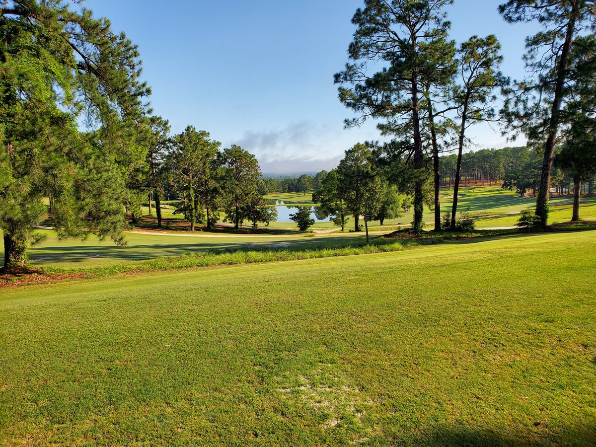 Hyland GC was a pleasant surprise in the Pinehurst area. A vibrant "locals'" course, 14 of the 18 holes play on, over, around or across the singular interesting land movement. The greens are a bit repetitive: bunker left, bunker right, clover shaped surface, but it's fun.10/