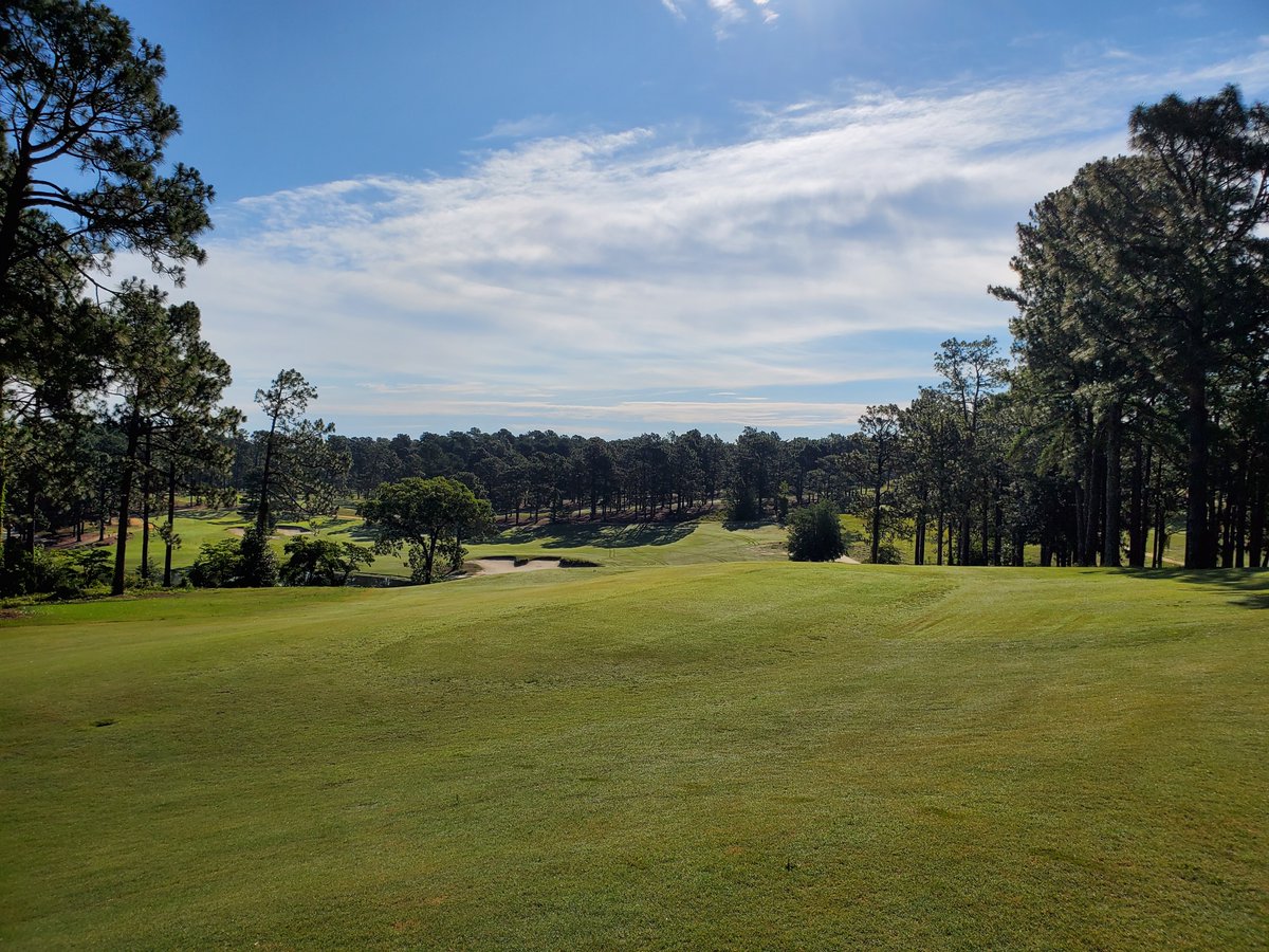 Hyland GC was a pleasant surprise in the Pinehurst area. A vibrant "locals'" course, 14 of the 18 holes play on, over, around or across the singular interesting land movement. The greens are a bit repetitive: bunker left, bunker right, clover shaped surface, but it's fun.10/