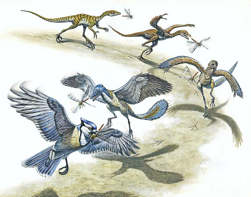 cronicasdefauna on Twitter: cronicasdefauna on Twitter: