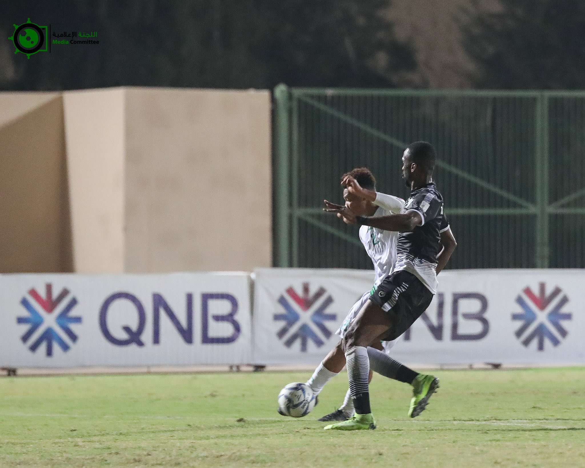 الصورة