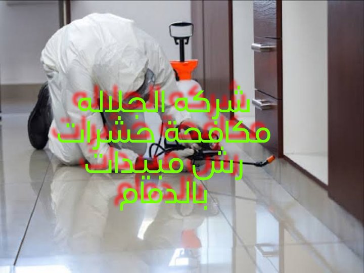Alglalacleaning's tweet photo. #شركة_تنظيف_كنب_بالدمام
0568202677
الجلاله لخدمات التنظيف بالدمام تنظيف
*تنظيف مجالس بالبخار
*تنظيف موكيت بالبخار
*تنظيف سجاد بالبخار
تنظيف ستائر بالبخار
تنظيف ارضيات
تنظيف خزانات
تنظيف مكيفات اسبيلت. شباك
مكافحة حشرات وتعقيم منازل 

#يوم_Iلجمعه https://t.co/TzedUnZj3S