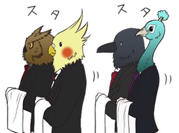 インコのtwitterイラスト検索結果