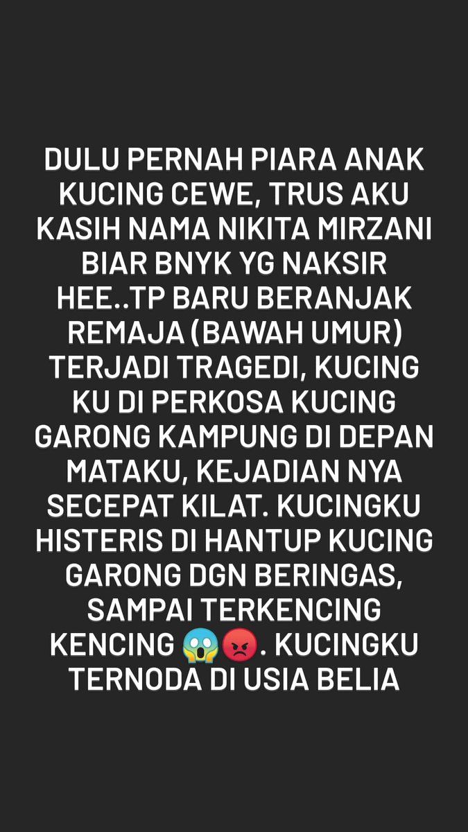Fendykps's tweet photo. Cerita kucingku yang malang https://t.co/XqgLKuYPvP