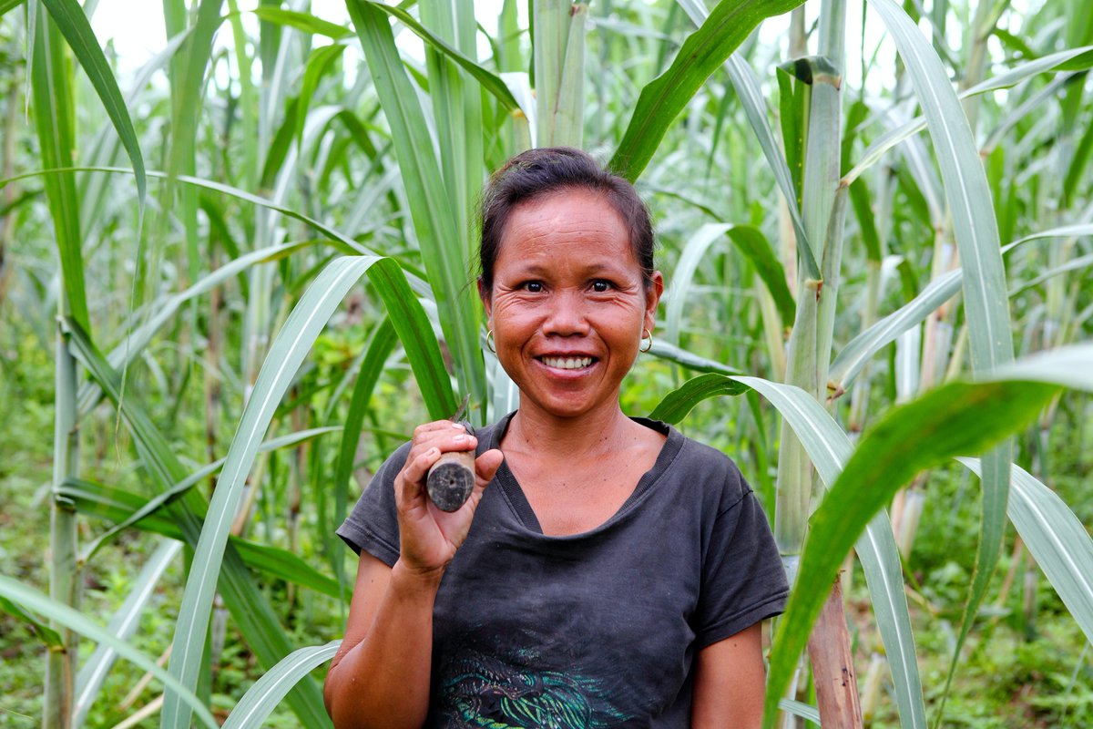 IFAD's tweet photo. Rural development is crucial for meeting the #SDGs.

Investing in rural people is investing in a brighter future for everyone. https://t.co/Cq8IT0KfED