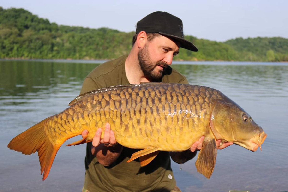 5calesandtails's tweet photo. Team member Sam with #fullyfriday
#carp #fullyscaled #carpfishing #thatscarpy #carpy #totalcarp https://t.co/jUB5oSI5vD