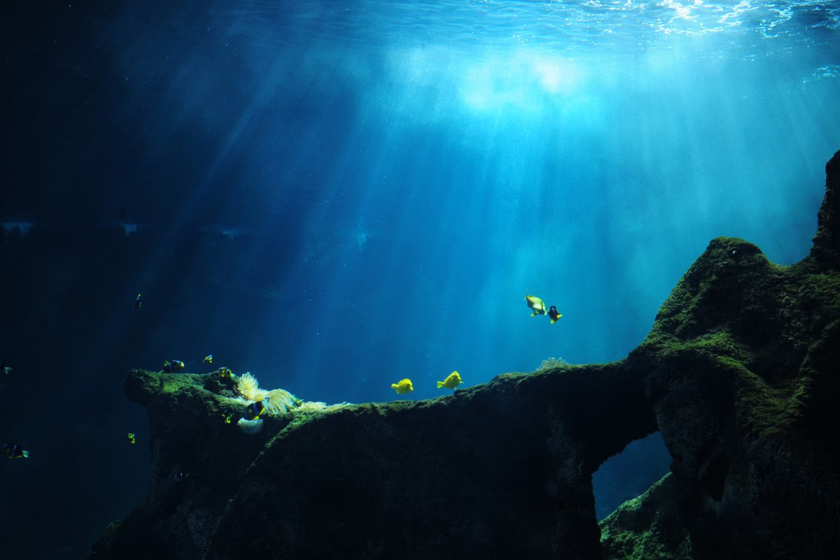 One small step for researchers, one giant leap for our #ocean's future🌊

<a href="/eu_atlas/">Eu_ATLAS</a> explored the Atlantic to better protect it &amp; now <a href="/iAtlanticEU/">iAtlanticEU</a> extends its legacy:

🔹assessing ecosystems' health
🔹creating a newly empowered #AtlanticAll community 

👉europa.eu/!MT67Hu
