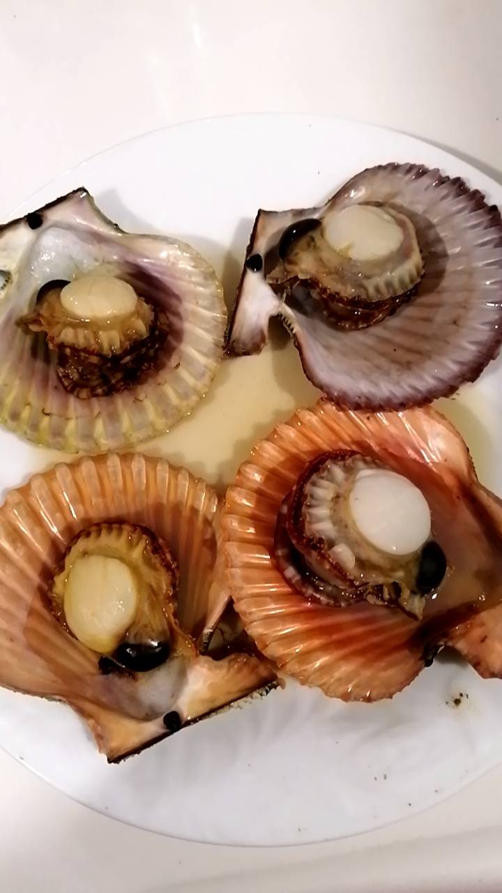 プーさんのわくわく日記 道の駅で買って 松山に帰宅後に調理して晩酌 レンジの600wなら4個で5分 簡単で最高です そのままで塩あじで十分ですが日本酒を垂らしても美味しいです ヒオウギ貝 道の駅みしょうmic T Co Bn7vdtvz79 Twitter