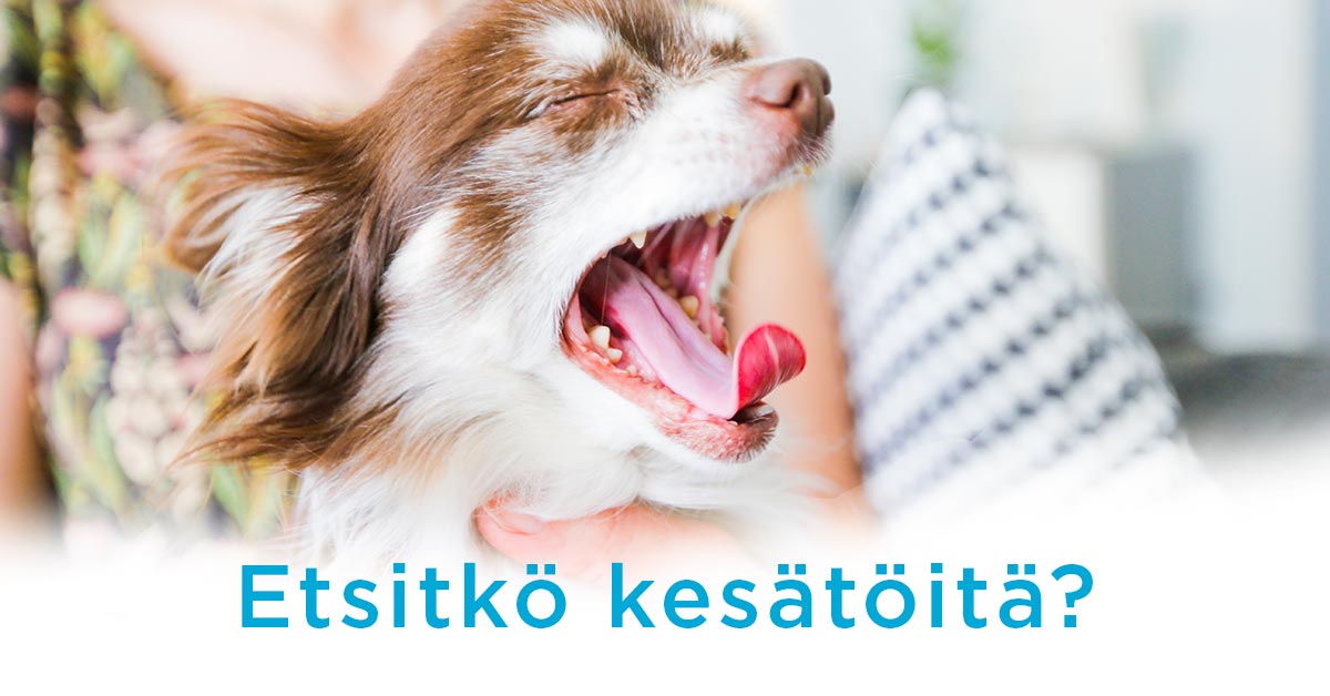 Aspasaatio's tweet photo. Oletko sinä jo herännyt kesätyönhakuun? Me olemme. 😃 Haemme lähihoitajia asumispalveluihin eri puolilla Suomea ja osa tehtävistä on jo auki. Kurkkaa lisätiedot verkkosivuiltamme https://t.co/E6Suo2GPk8 ja ota yhteyttä! #rekry #kesätyö #asumispalvelut #työ https://t.co/fzKRhnKSMn