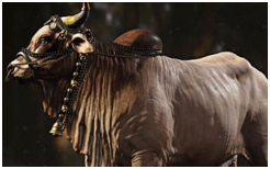 The major vratas are as follows.(i)Santapana: This involves living for one whole day on cow’s urine, cowdung, cow’s milk, curds made from cow’s milk and clarified butter made from cow’s milk. The next day is a day of fasting.