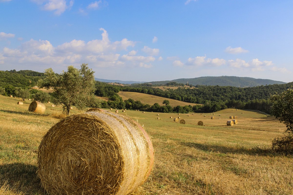 ICTA-UAB (@icta_uab) on Twitter photo Land uses and land cover explain the differentiated effects of the environment on human health.
New study led by <a href="/QZaldoAubanell/">Quim Zaldo Aubanell</a> from <a href="/ICTA_UAB/">ICTA-UAB</a>, <a href="/CRMatematica/">Centre de Recerca Matemàtica | CRM-CERCA</a> and <a href="/ctforestal/">CTFC</a>
uab.cat/web/sala-de-pr… a través de @uabbarcelona Land uses and land cover explain the differentiated effects of the environment on human health.
New study led by <a href="/QZaldoAubanell/">Quim Zaldo Aubanell</a> from <a href="/ICTA_UAB/">ICTA-UAB</a>, <a href="/CRMatematica/">Centre de Recerca Matemàtica | CRM-CERCA</a> and <a href="/ctforestal/">CTFC</a>
uab.cat/web/sala-de-pr… a través de @uabbarcelona