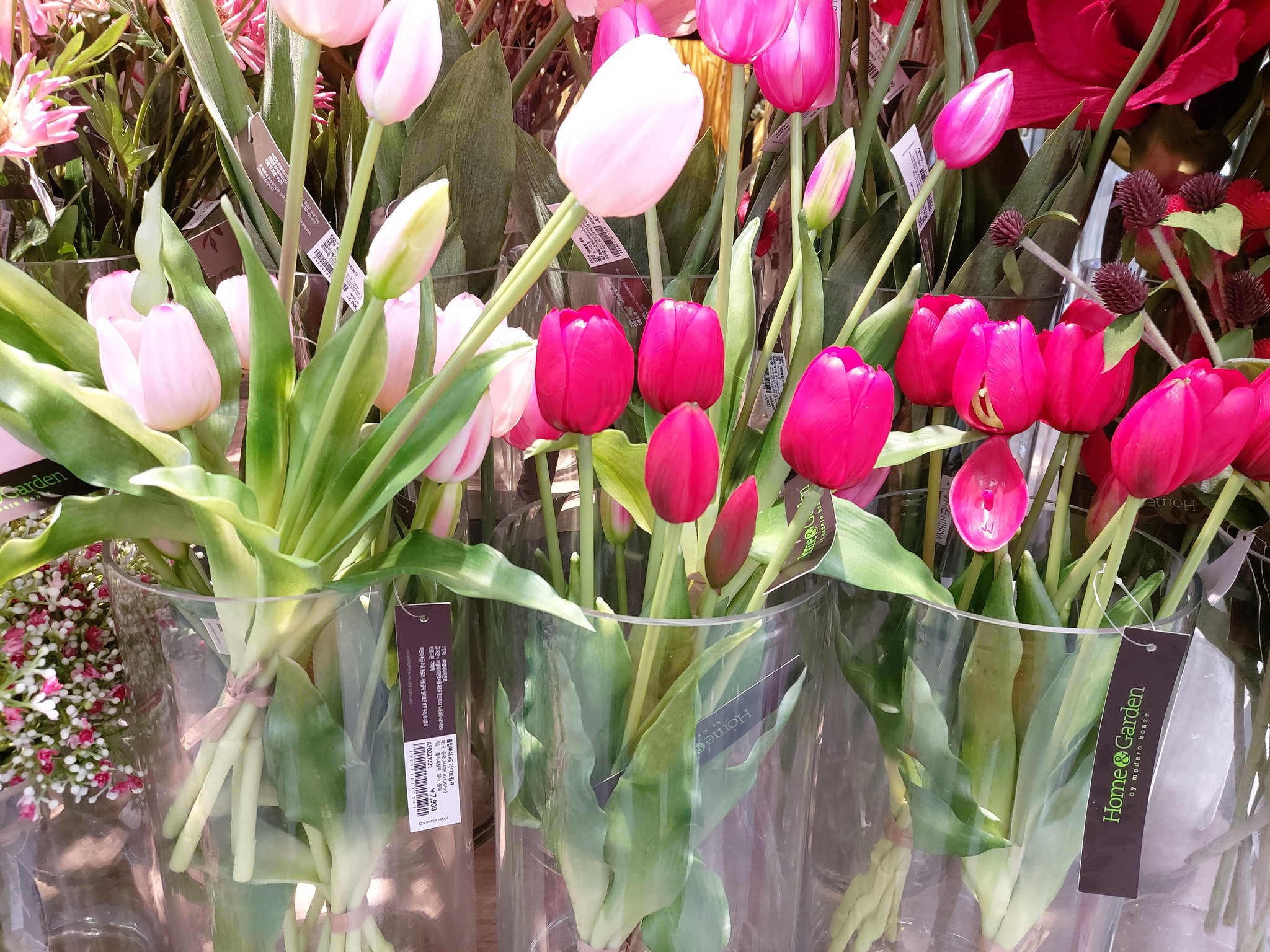 تويتر Sound على تويتر 툴립 Tulip チューリップ 韓国語 花の名前 꽃이름 Flowername T Co Uawppjiyl2