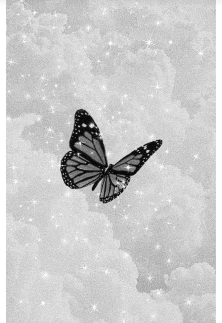 Black  butterflies × sushi  #OneVoice4SSRDisha