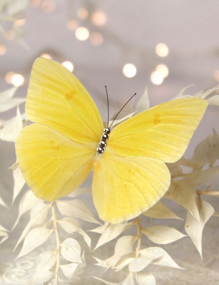 A small Aesthetic for Our Beloved Sushant Sush X butterflies  ( Decided to make this boz I am lover of butterflies ) just try  #OneVoice4SSRDisha 1. Yellow butterflies× sushi ..