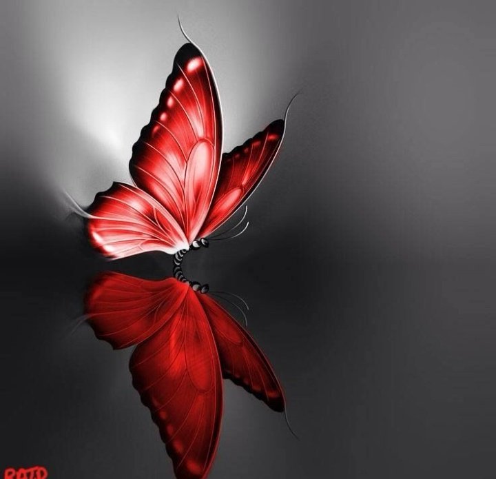 Red butterflies × sushi   #OneVoice4SSRDisha