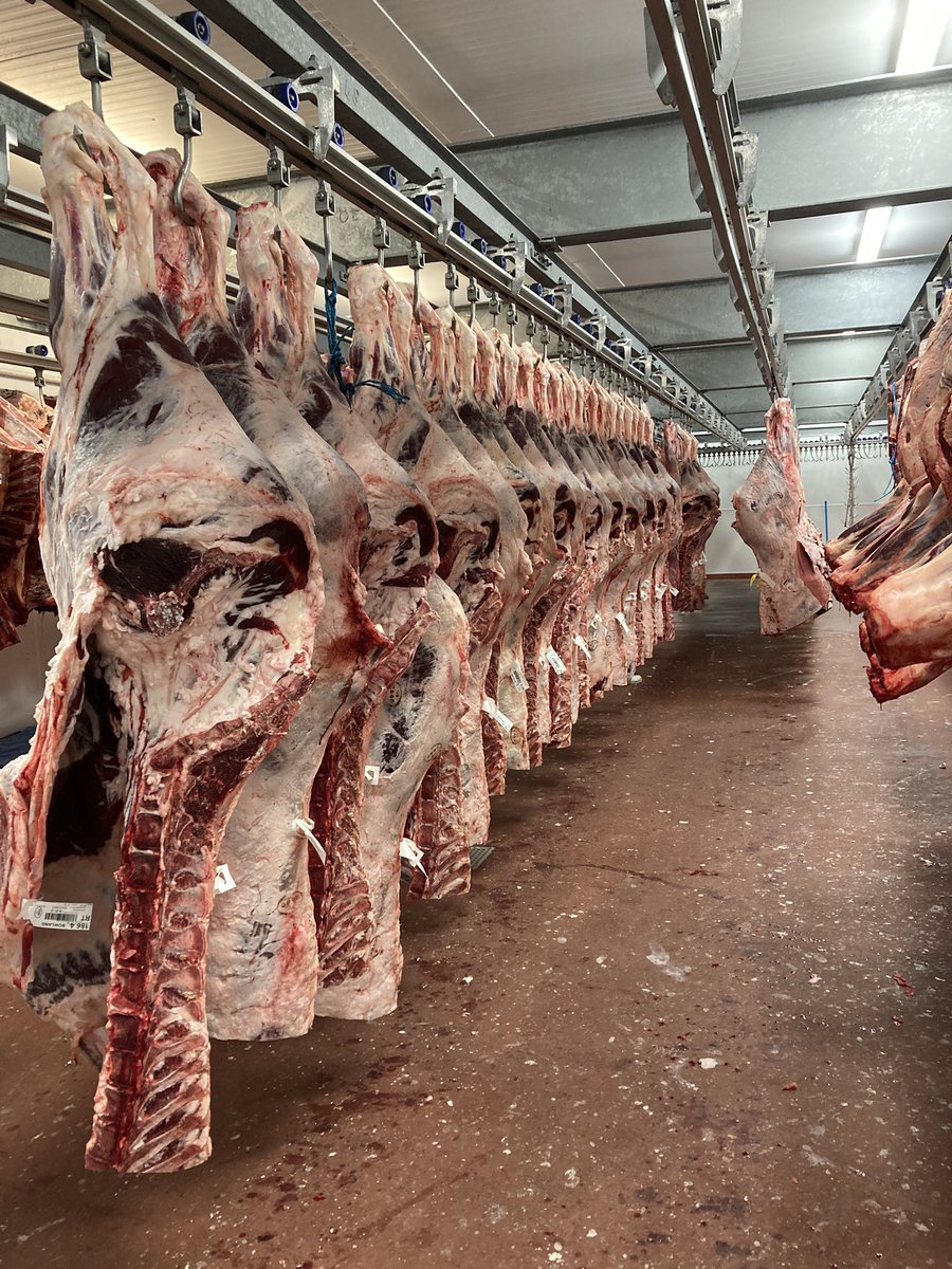 PeterBriggs84's tweet photo. @KevinLDunne just so you can get your fix pal..... I’ve put security tags on the fillets pal, just incase your bored at the weekend 🤠 https://t.co/gMwrOvPtvp