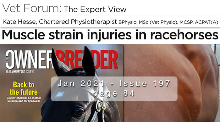 PhysiOptima's tweet photo. @PhysiOptima is proud of our Kate Hesse for writing this editorial with @drjrees - great read for #Newmarket #racing world and #physiotherapy https://t.co/aPbqEEIKNy https://t.co/tnJd3ReHlk