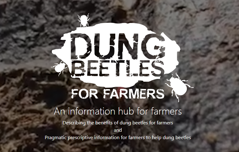 seegslip's tweet photo. Great new resource for farmers all about dung beetles, with information on how they benefit for soils and how to conserve them. A PhD student studying dung beetles on PFLA farms in the SEEGSLIP sample has worked with farmers to produce web content: https://t.co/cr5GlucnF1 https://t.co/p3Dt9tWy6O
