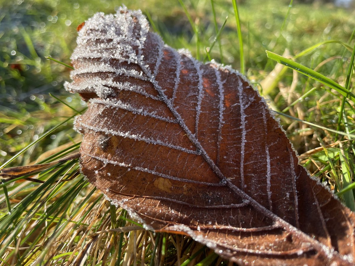 teggster's tweet photo. Letβs go for a walk βοΈπ #frost #winter #icy #chilly #bitnippyout #britishweather #bristol #mentalhealthmatters https://t.co/uBTRM5vS83