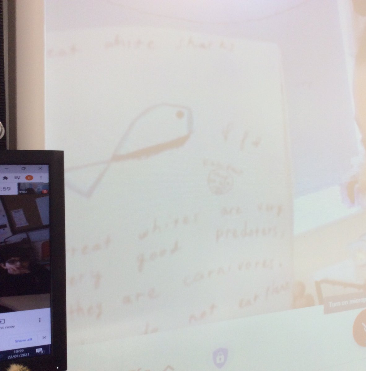 MountStewartSch's tweet photo. Sapphire and Topaz shared their amazing English writing virtually today! #VirtualPraise #tmssyear2 #FridayFeeling https://t.co/r7XIRq65mk