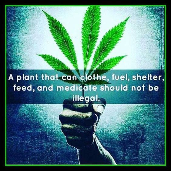 paolino1340's tweet image. 