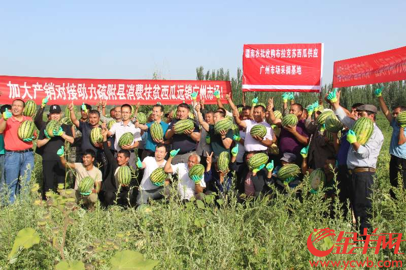 Guangdong Provinces helps Xinjiang grow and sell watermellon.