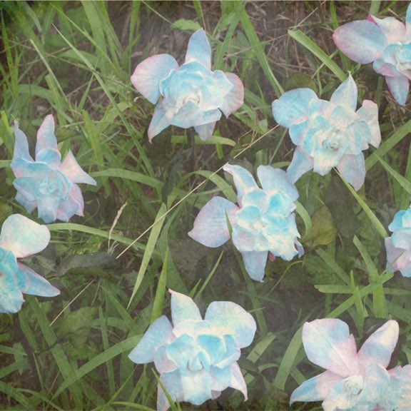 uy_vkk's tweet photo. 自分お花屋さんなんですけど
うちのお店に入ってきたスイートピーがスメラルドすぎてヤバイっていうのをarmyに伝えたい、、、
#bts
#スメラルド https://t.co/FG75oFrOjz