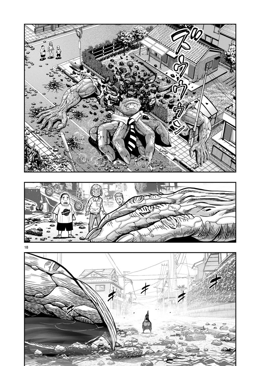 ROOSTER FIGHTER_01（4/7）