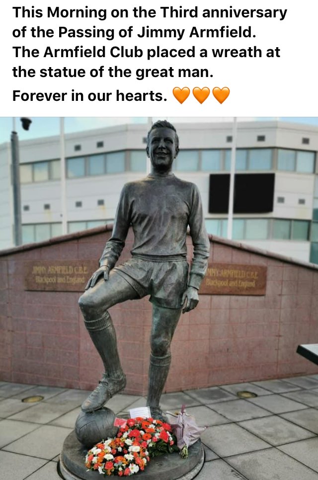 forestaredead's tweet image. 