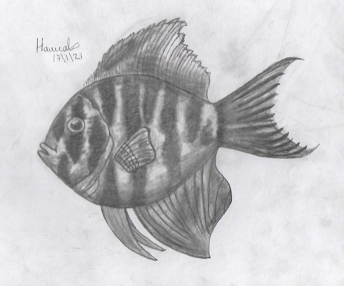 CHS_Art&Design tweet media
