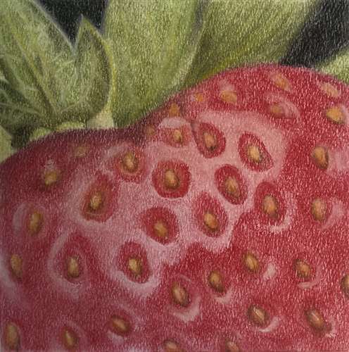 Congratulations to Emily Schulz for earning a <a href="/artandwriting/">Scholastic Art & Writing Awards</a> Silver Key award for her drawing!