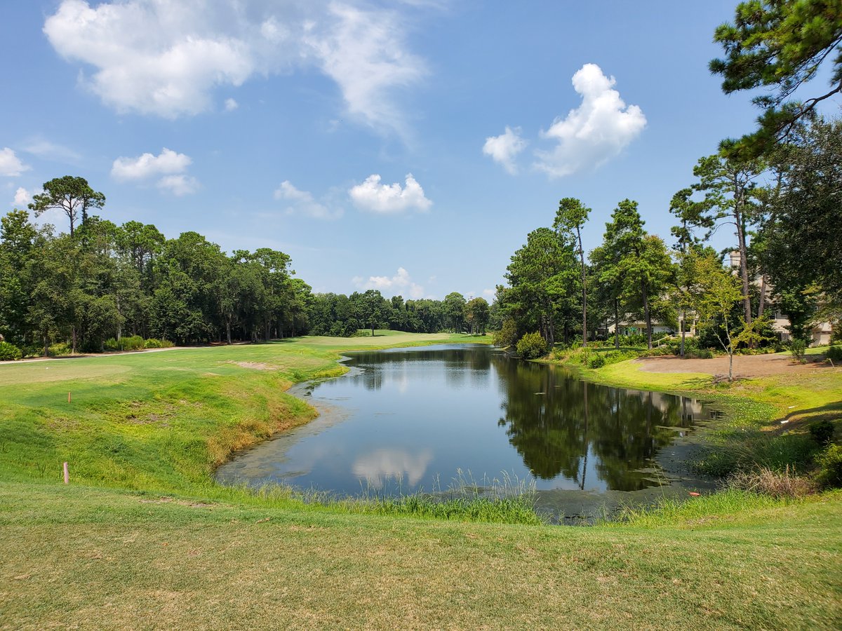 Palmetto Hall - Arthur Hills Course is the most quintessentially Hilton Head course on the highland. Bobbing and weaving thru wetlands and houses using doglegs and tight corridors, it presents a surprising number of fun shot opportunities.  13/