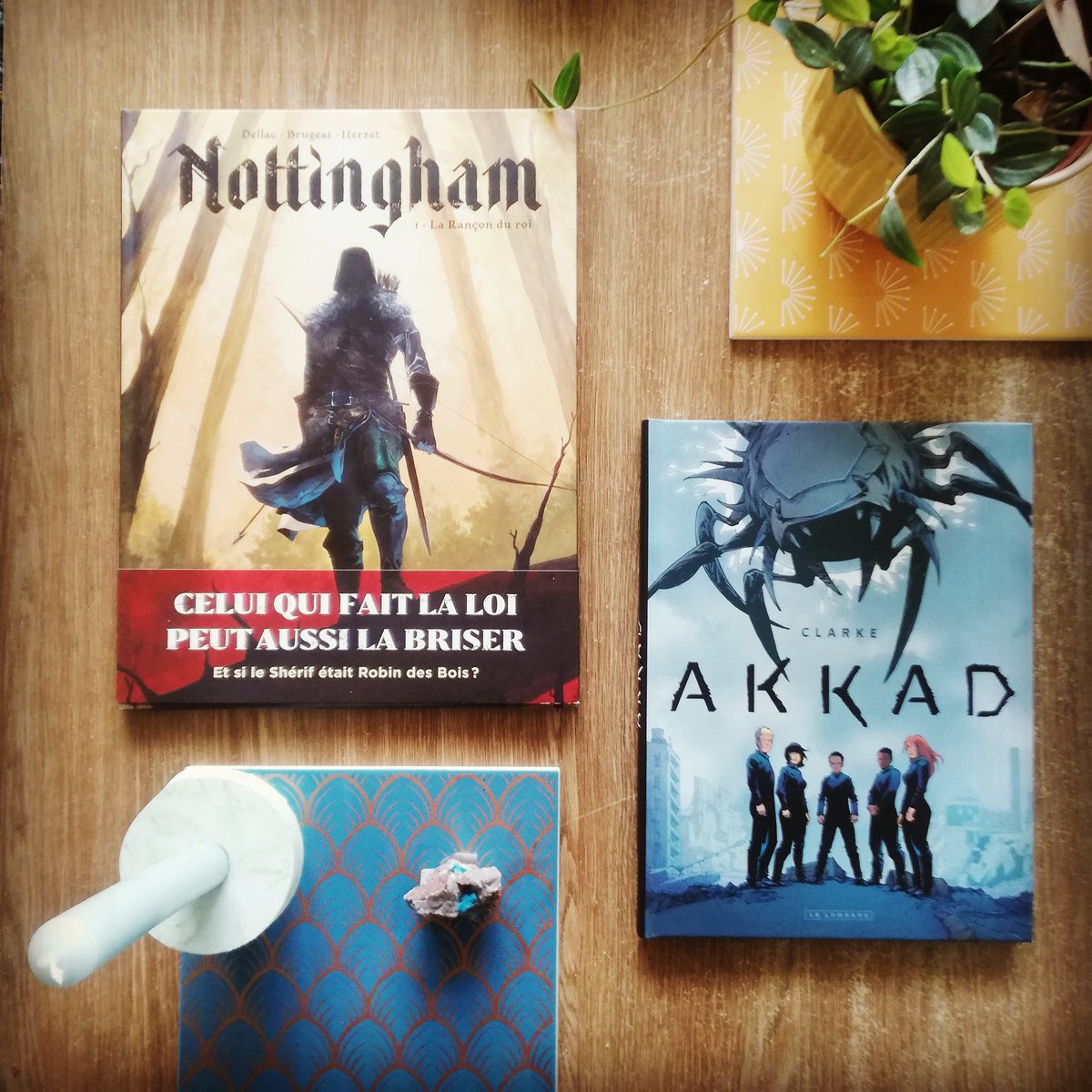 LeLombard's tweet photo. 📚 En librairie cette semaine 📚
Nottingham, Robin des Bois comme vous ne l'avez jamais lue par Dellac, Brugeas et Herzet.
AKKAD, tous les moyens sont bons pour réduire l'envahisseur à néant, par un Clarke au top de son art !
On vous souhaite une excellente lecture. https://t.co/P34eEf34n5