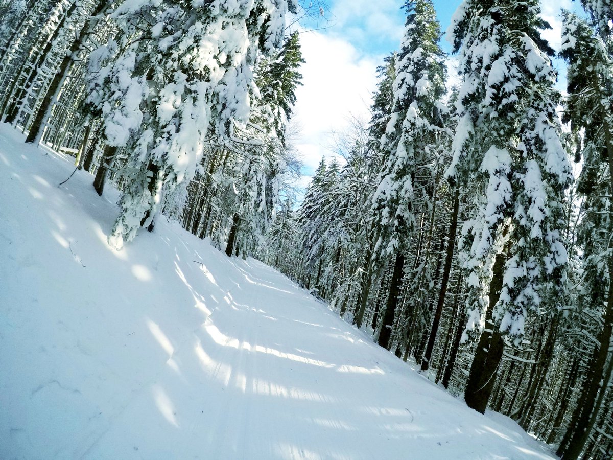 vvasic1's tweet photo. ❄❄❄❄❄❄ https://t.co/tOcyNqp819
