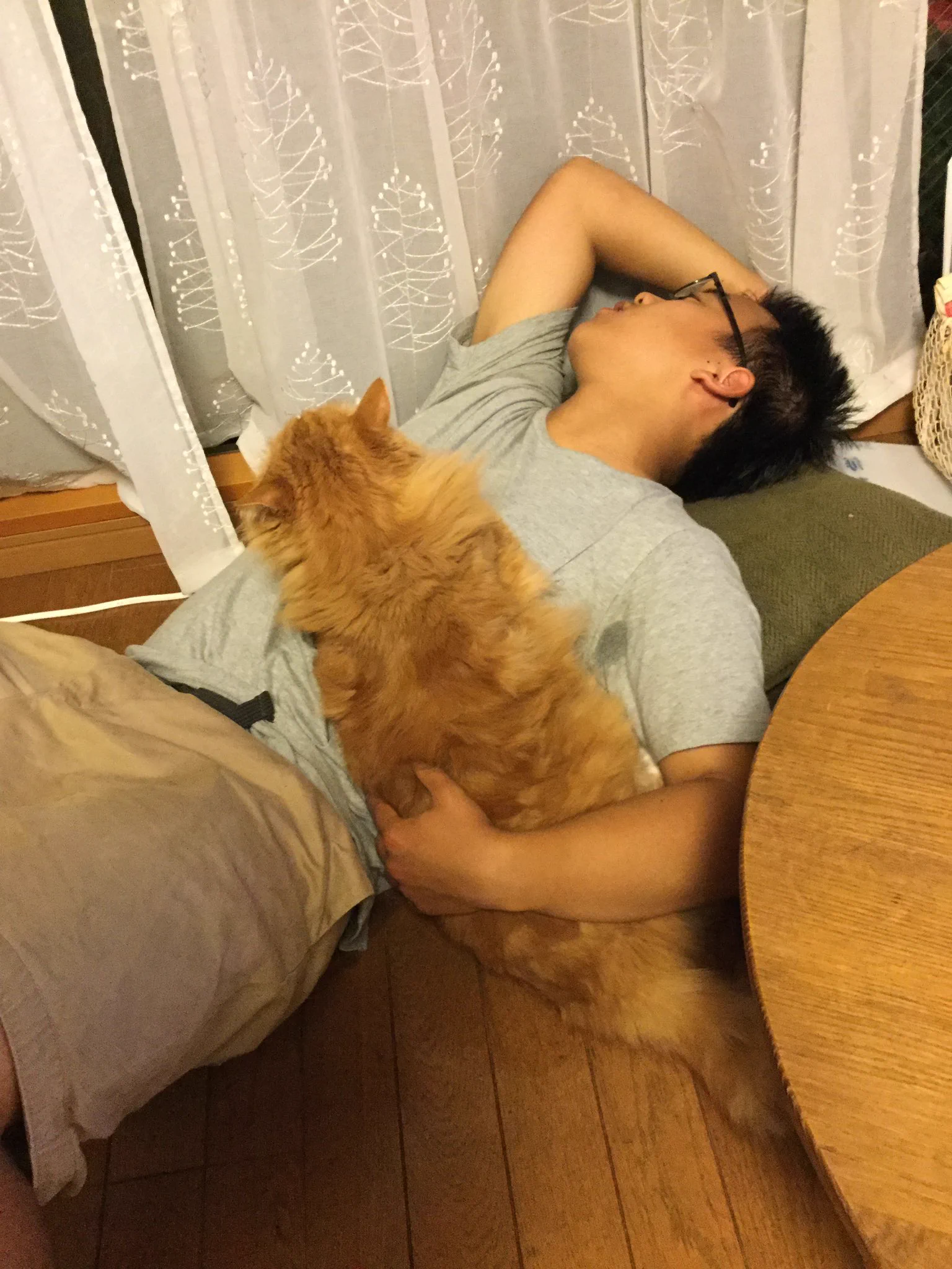 男の子と猫の成長した写真が素敵と話題に！長男・次男の関係もほっこりします！！