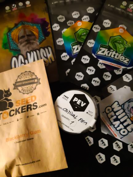 PevGrowFR's tweet photo. Partagez votre commande avec nous ! 
Nous aimons beaucoup que vous nous envoyiez des photos lorsque vous recevez votre commande 😍🔥.
Envoyez-nous un message ou tweetez-nous une mention 💚

#weed #grow #pevgrow https://t.co/If9wiuwfRH