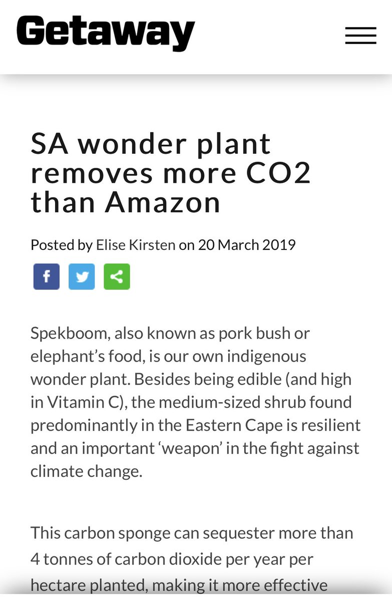 twatterbaas's tweet photo. Spekboom can absorb between four to ten tonnes of carbon per hectare. This miracle tree uses carbon to make plant tissue and produce oxygen. I have 10300 acres available. You literally multiply plants by cutting plants in pieces and stick it into the ground #EasternCape https://t.co/M5BxiPZFNQ