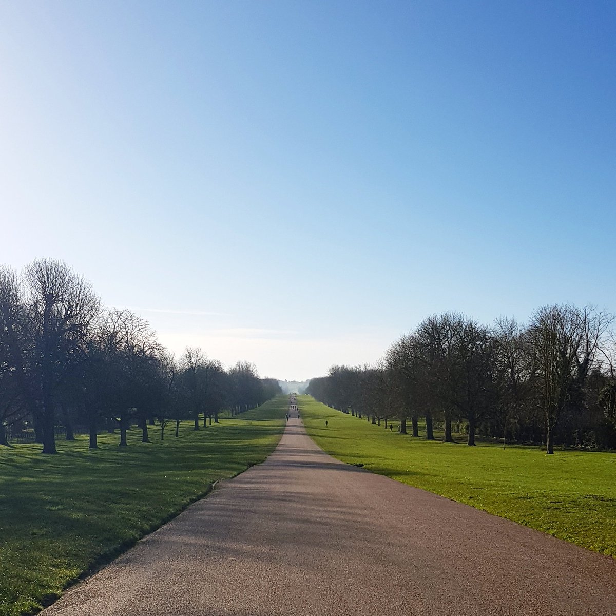 'Just beyond the horizon of the so-called impossible, lies infinite possibility!' ☝️

Just some posh quotes and fancy photos to perk you up this Friday Afternoon! 😊

Happy Weekend Everyone! 👏

#windsor #park #greatpark #castle #windsorcastle #quote #uk #royals #queen