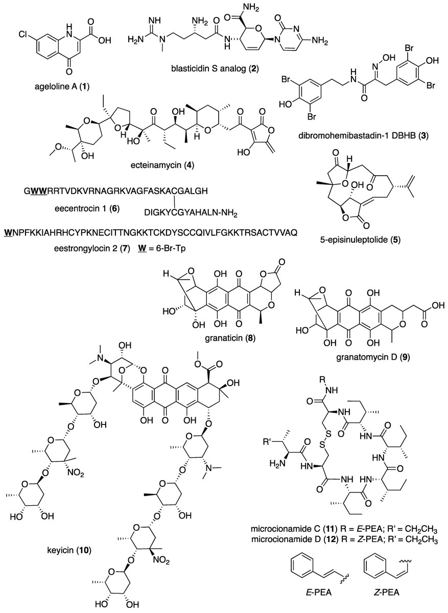 Marine_Drugs's tweet photo. #mdpiMarineDrugs New Review
🗞️Marine #Pharmacology in 2016–2017
By Prof. Dr. Alejandro M.S. Mayer, et al.
#Antibacterial #Antidiabetic #Antifungal #AntiInflammatory #Antiprotozoal #Antituberculosis #Antiviral
🔗https://t.co/HtzMMZp3Og https://t.co/HenqN2TVRO