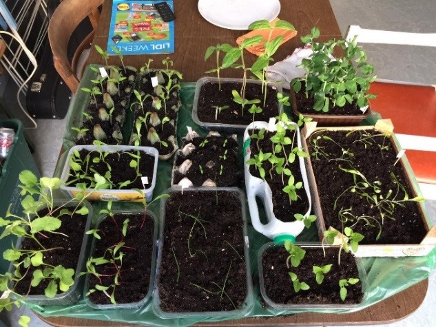  @CalthorpeCG has posted 100's of 'Growing from Home' kits enabling older people to grow herbs and other plants at home. It created a community of people sharing gardening tips and hints on Whatsapp. It also delivered 3020 hot meals in the first lockdown. 2/n
