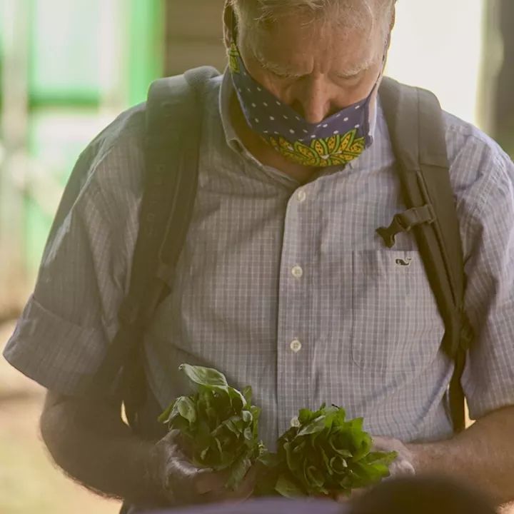 organicfarmersmarket tweet media