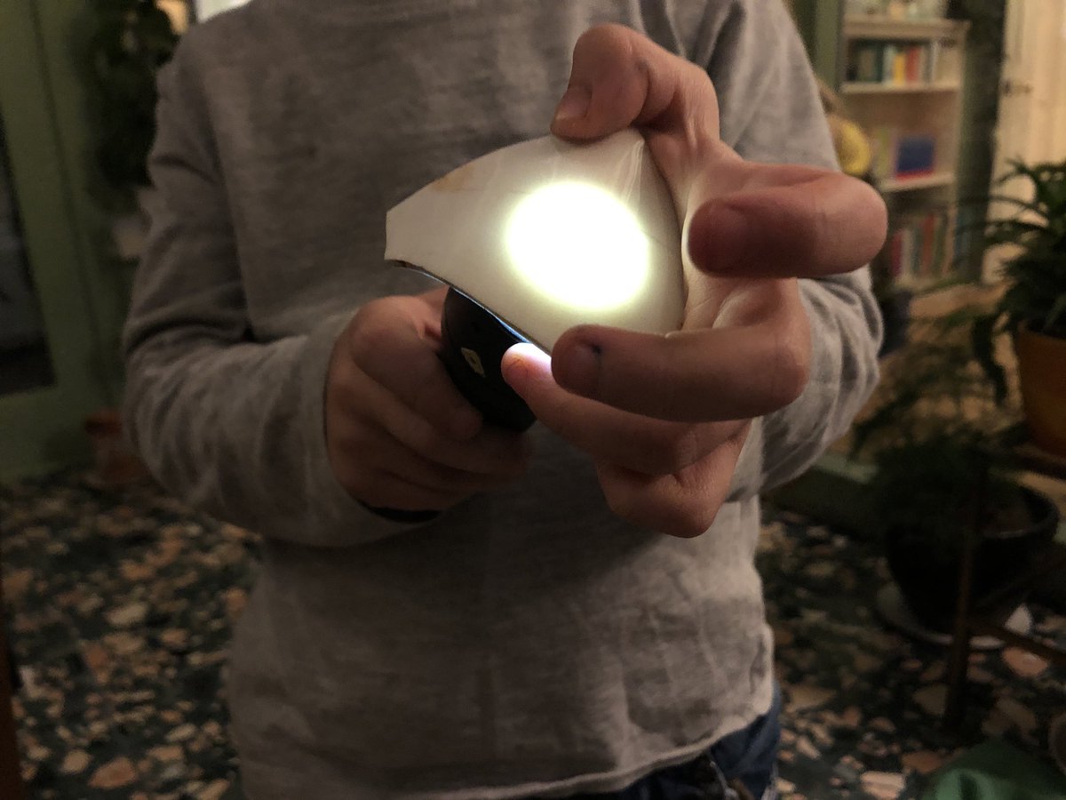 We loved learning about the ceramics with Tiago: he taught us how to identify bone china from earthenware (cue a lot of fun with Papa’s “torchlight”), and that the rust-coloured stain on one sherd could be from a piece of metal or metal in the soil drawn into the porous body.