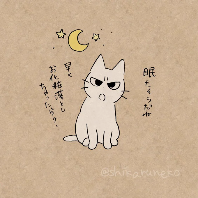化粧を落とさずに寝ようとする人と、しかるねこと、あまやかすねこ 