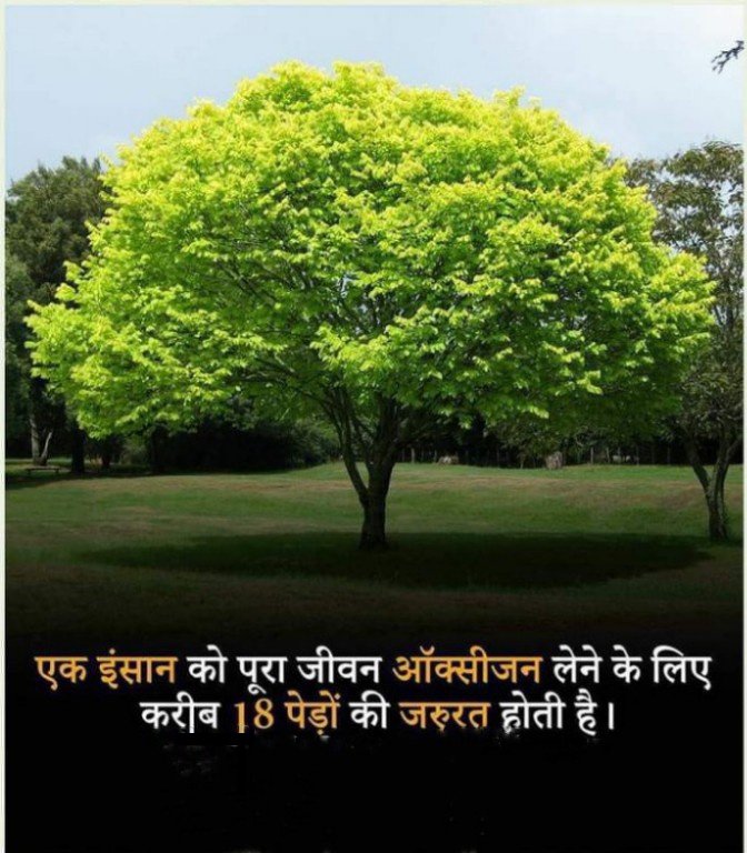 FoujiJb's tweet photo. @SMGHaryana @UNEP #QuestionOfTheDay
#QuestionForFuture
#QuestionForAll
рдЗрд╕рд╕реЗ рдпреЗ рдкрддрд╛ рдЪрд▓рддрд╛ рд╣реИ рдХрд┐ рдЗрдВрд╕рд╛рди рдХреА рдЬрд┐рдВрджрдЧреА рдореЗрдВ рдкреЗрдбрд╝реЛрдВ рдХрд╛ рдХрд┐рддрдирд╛ рдорд╣рддреНрд╡ рд╣реИ, рд╣рдо рдЗрд╕ рд╕рдЪреНрдЪрд╛рдИ рд╕реЗ рдЕрдирднрд┐рдЬреНрдЮ рд╣реИрдВ, рд╣рдо рдЕрдВрд╣рдХрд╛рд░ рдФрд░ рдорд╛рдпрд╛ рдХреЗ рдирд╢реЗ рдореЗрдВ рдЪреВрд░ рд╣реИрдВ! рд╣рдореЗрдВ рдЬреНрдпрд╛рджрд╛ рд╕реЗ рдЬреНрдпрд╛рджрд╛ рдкреЗрдбрд╝ рд▓рдЧрд╛рдХрд░ рдЙрдирдХреА рд╕рдВрднрд╛рд▓ рднреА рдХрд░рдиреА рдЪрд╛рд╣рд┐рдП! https://t.co/uWMhel3jGm