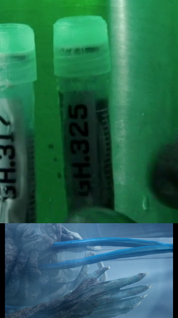 Le Savon Bleu dont parle Coulson, ça pourrait être le GH.325, un médoc produit à partir de sang bleu de Kree, qui permet la résurrection des morts récents. (Comme Coulson.)Wanda construit le Westview tout comme Coulson avait Tahiti, les 2 sont des "endroits magiques !"