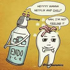 EJacksonDDS's tweet photo. TGIF! Have a great weekend everyone! π
#Dental #Humor #Dentistry #Endodontics #RootCanal #EndoIce #Pulp #Vitality #Testing https://t.co/jRB6WXgcr6