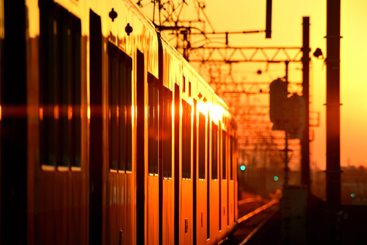 愛用カメラを画像付きで布教する Nikon D800E（旗艦）、Nikon D300