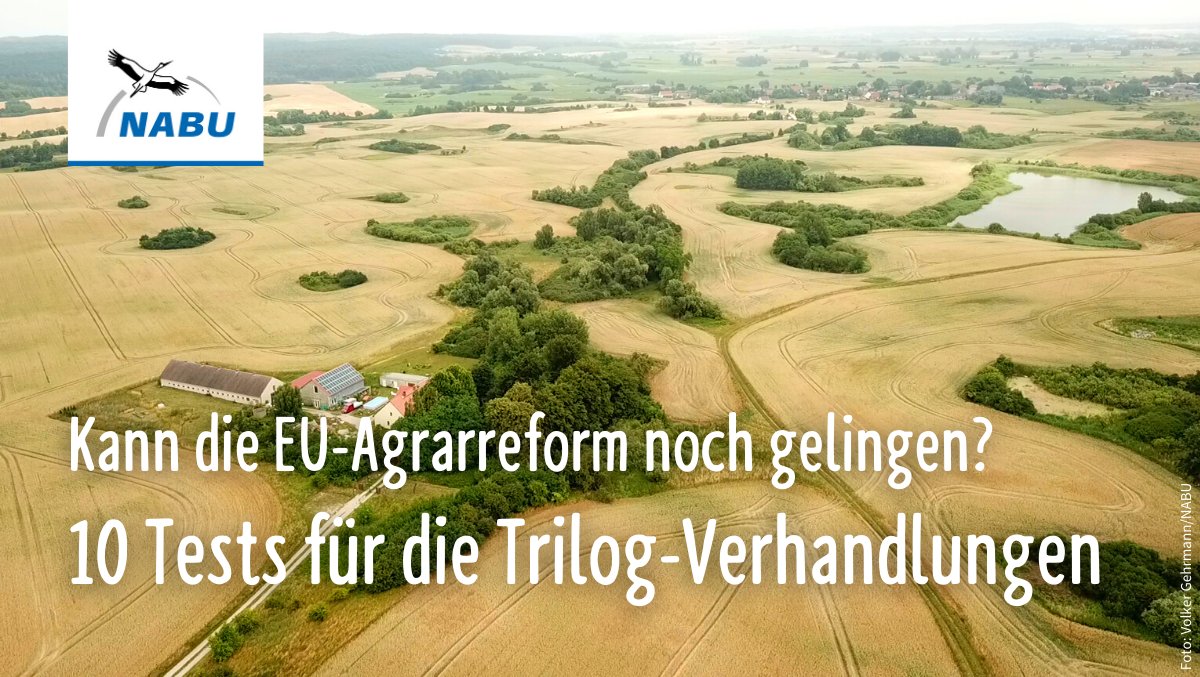 Wie kann aus der schwachen Vorlage von 🇪🇺-Parlament und Agrarrat noch eine gescheite Agrarreform werden in den #Trilog-Verhandlungen 🤔? Unser europäischer Dachverband @Green_Europe hat einen Lackmustest mit zehn Kriterien erstellt 🌱🧑‍🌾🐝🐦. #FutureOfCAP blogs.nabu.de/naturschaetze-…