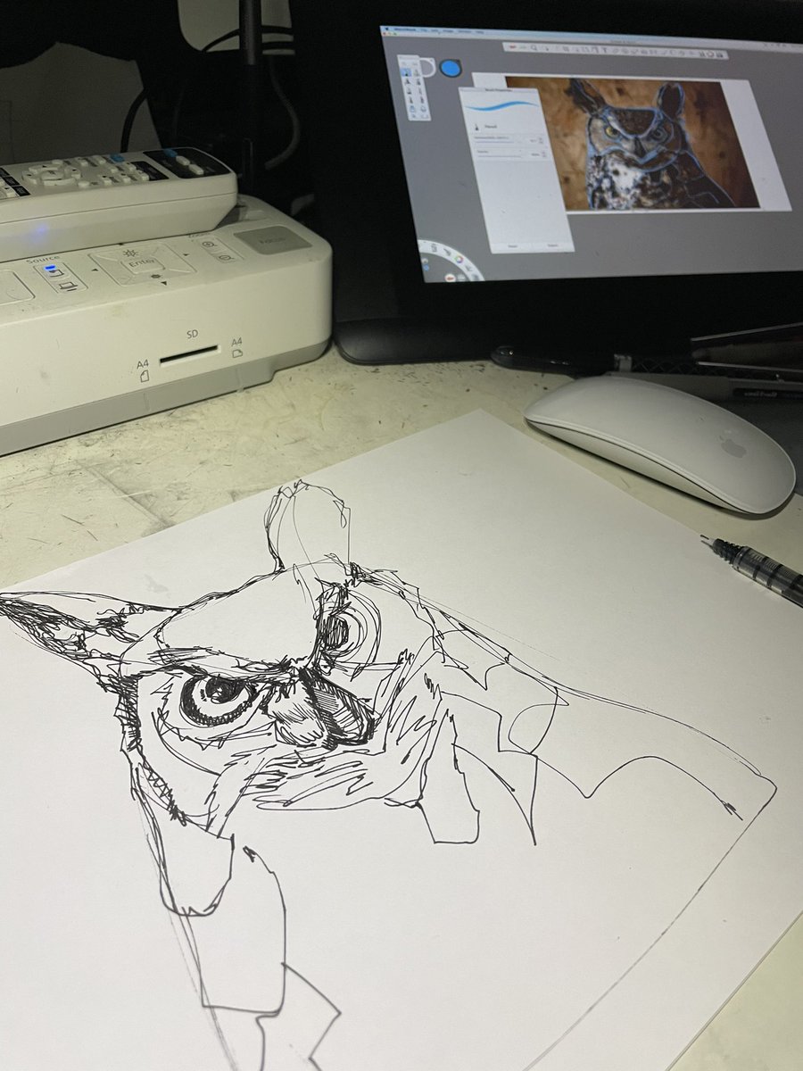 xenosketch's tweet photo. Working on drawing with technical pens with my drawing students.  Today we are drawing a very aggressive owl!  “Keep it simple students and work towards more complex solutions” #illustration #ink #inkdrawing #computerassist #inksketch #learningart #drawing #pilotprecisev5 #owl https://t.co/FdaTB0BzUb